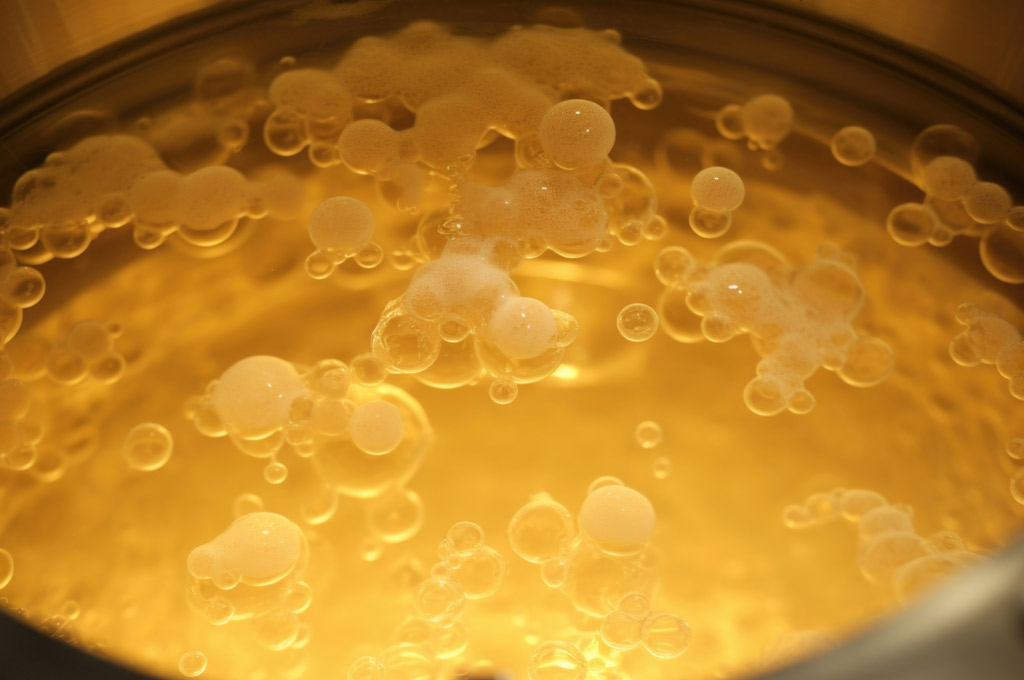 Yeast converts sugars into ethanol